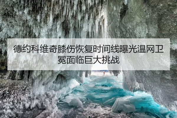 德约科维奇膝伤恢复时间线曝光温网卫冕面临巨大挑战