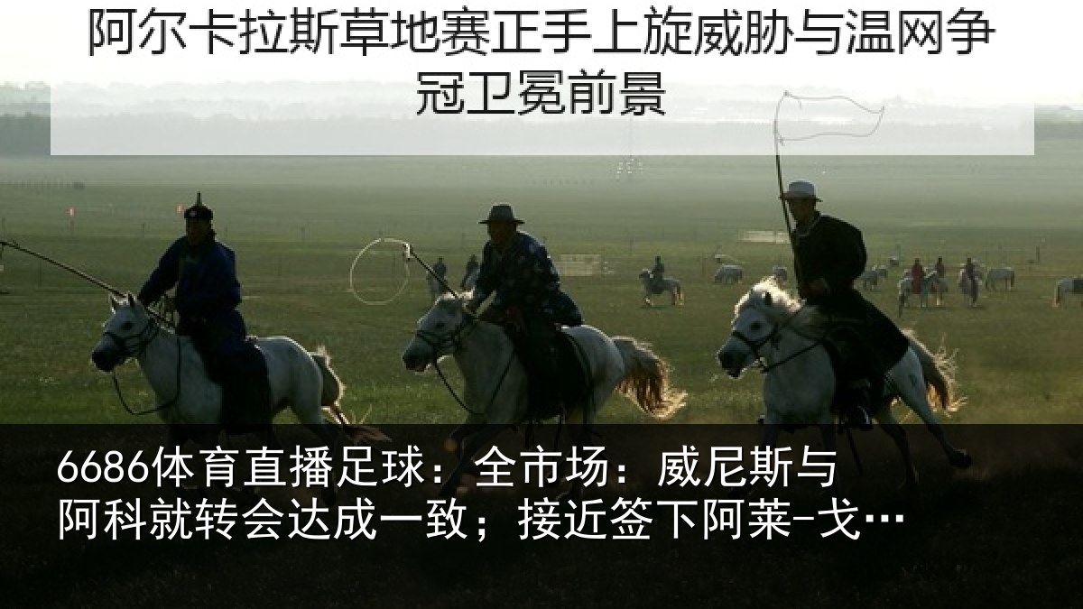 6686体育直播足球：全市相关情况转会相关情况阿莱-戈麦斯