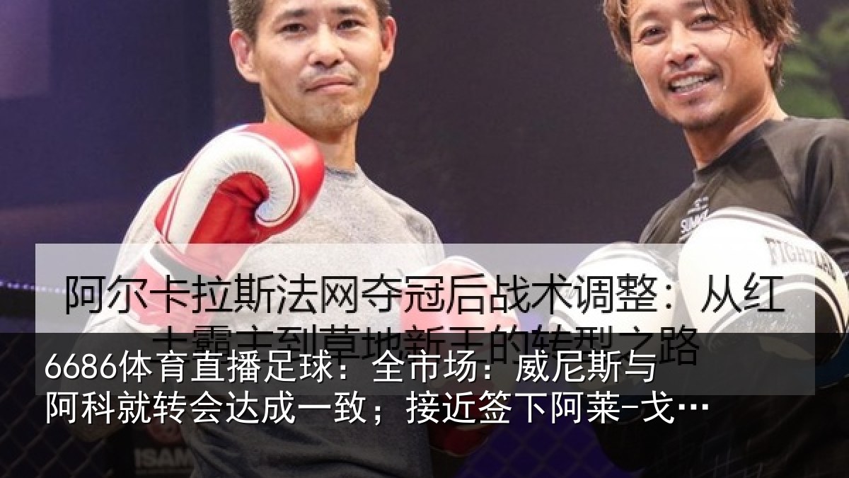 6686体育直播足球：全市相关情况转会相关情况阿莱-戈麦斯