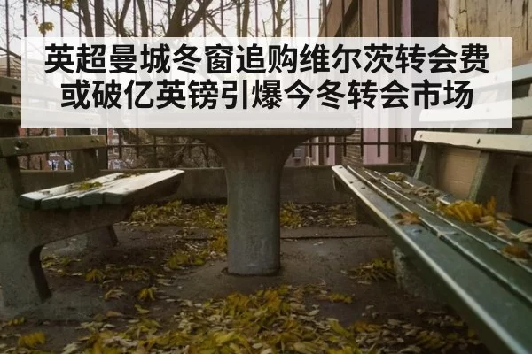 英超曼城冬窗追购维尔茨转会费或破亿英镑引爆今冬转会市场