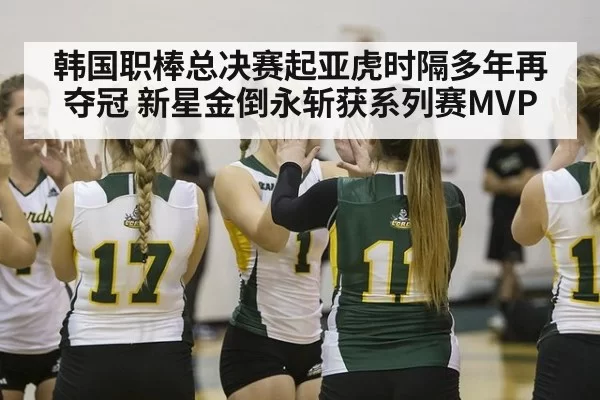 韩国职棒总决赛起亚虎时隔多年再夺冠 新星金倒永斩获系列赛MVP